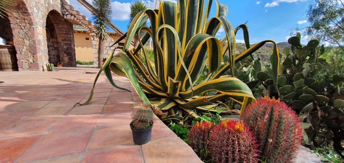 Hotel Rincon Magico Catorce 外观 照片